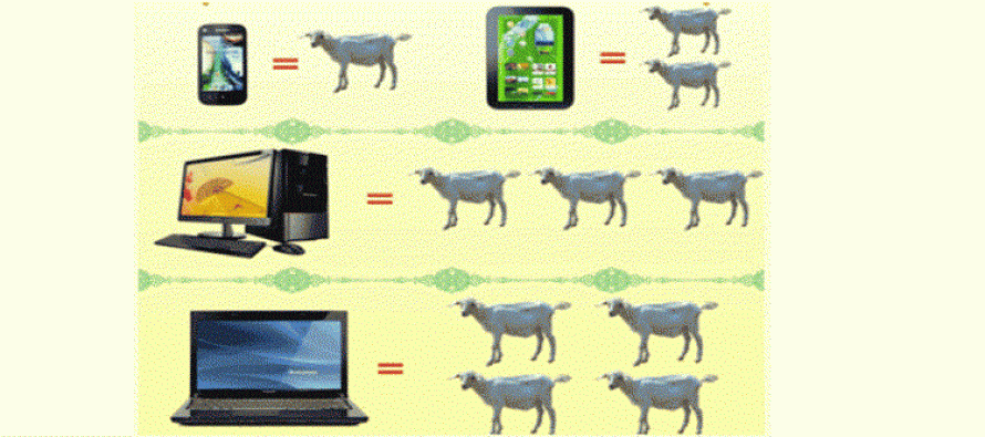 Dajem smartfon za ovcu – neobična trgovina u Kini