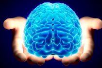 Zanimljive činjenice o ljudskom mozgu