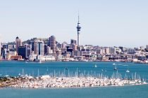 50.000 radnih mesta na Novom Zelandu, najtraženiji IT sektor