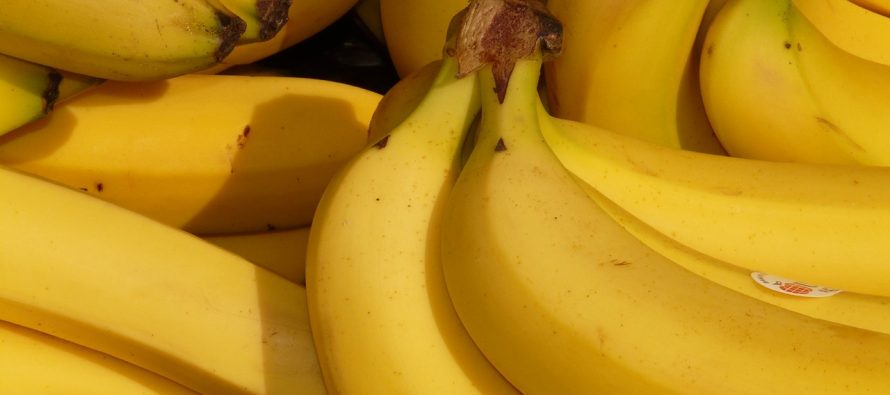 Blagotvorna dejstva banana