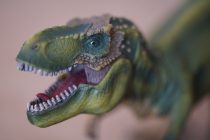 Najmanji dinosaurus na svetu nađen u ćilibaru