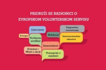 Pančevo: Radionica za mlade o Evropskom volonterskom sevisu