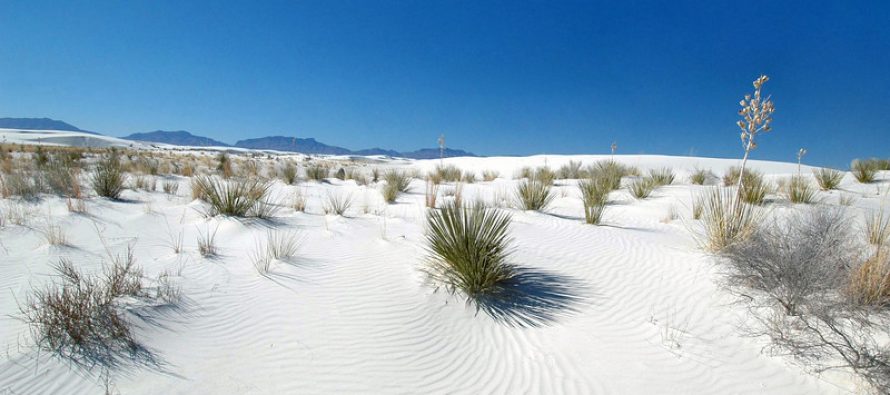 Pustinja sa belim peskom